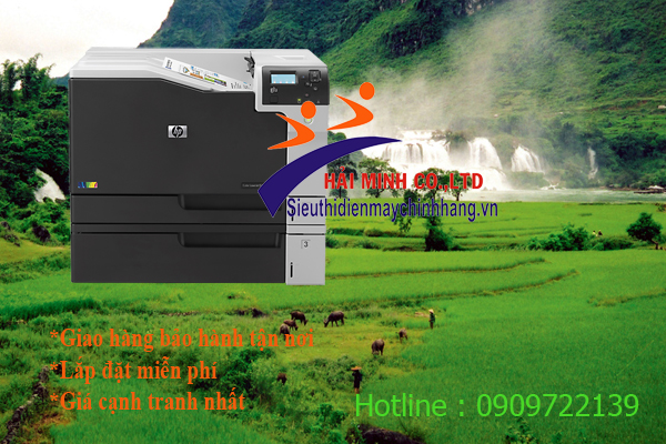 Máy in HP Color LaserJet Enterprise M750DN