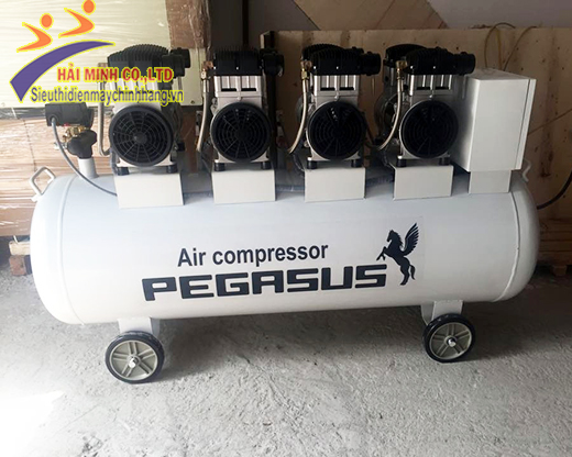 Pegasus TM-OF1100x4-300L