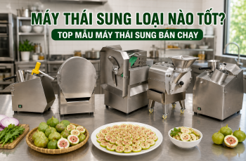 Máy thái sung loại nào tốt? Top mẫu máy thái sung bán chạy