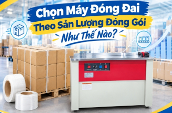 Chọn Máy Đóng Đai Theo Sản Lượng Đóng Gói Như Thế Nào?