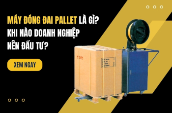 Máy Đóng Đai Pallet Là Gì? Khi Nào Doanh Nghiệp Nên Đầu Tư?