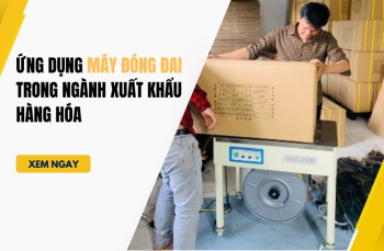 Ứng dụng máy đóng đai trong ngành xuất khẩu hàng hóa