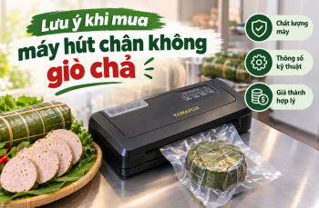 Lưu ý khi mua máy hút chân không giò chả