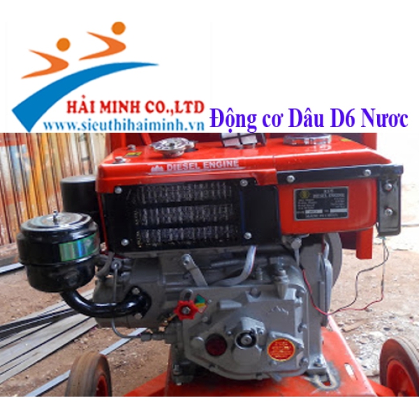 Động cơ Diesel D6 Nước (R175)