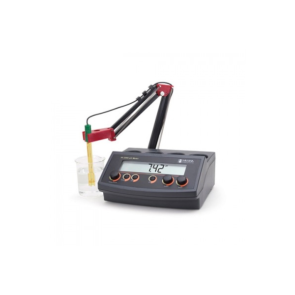 Máy đo pH/mV để bàn Hanna HI2209-02