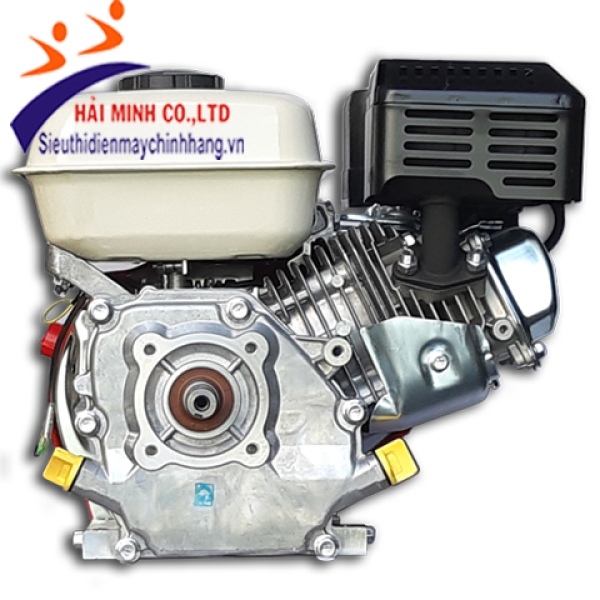 Đông cơ xăng Vikyno 170F (6hp/3600r/m)