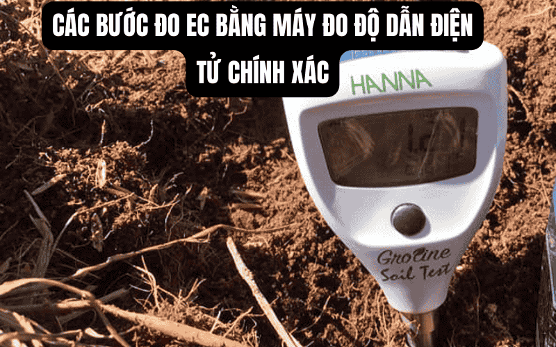 Các bước đo EC bằng máy đo độ dẫn điện tử chính xác