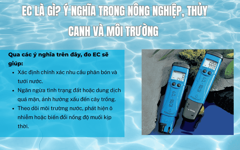 EC là gì? Ý nghĩa trong nông nghiệp, thủy canh và môi trường