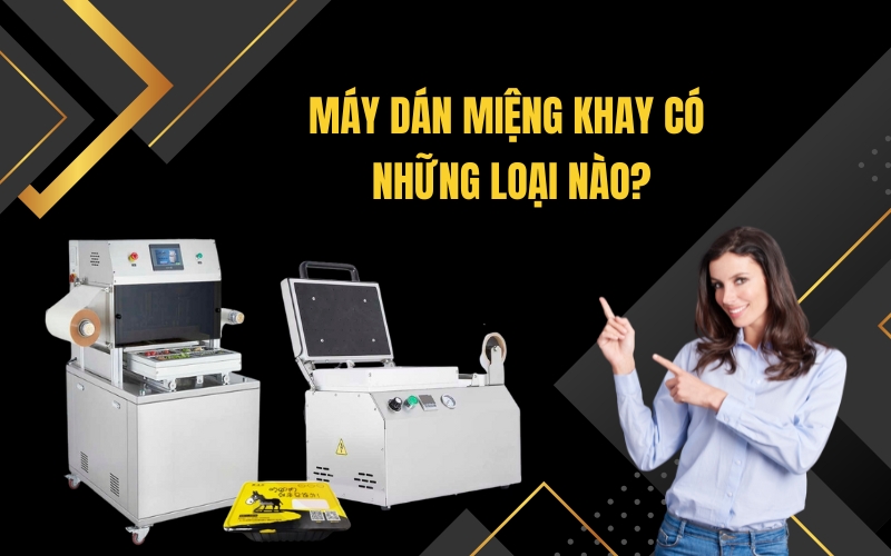Máy Dán Miệng Khay Có Những Loại Nào