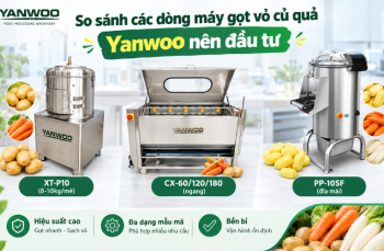 So sánh các dòng máy gọt vỏ củ quả Yanwoo nên đầu tư 