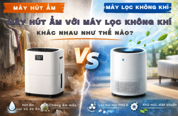 Máy hút ẩm với máy lọc không khí khác nhau như thế nào?
