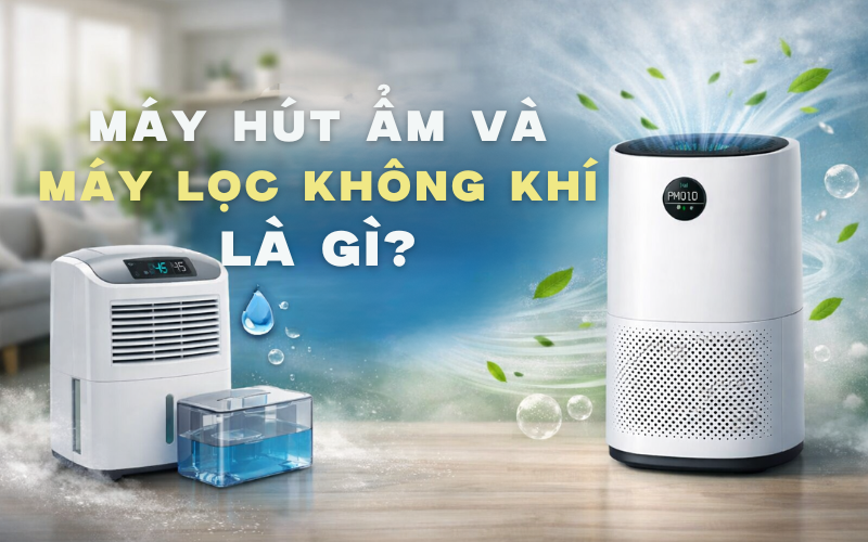 Máy hút ẩm và máy lọc không khí là gì?