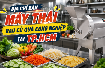 Địa chỉ bán máy thái rau củ quả công nghiệp uy tín tại TPHCM