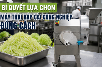 Bí quyết lựa chọn máy thái bắp cải công nghiệp đúng cách