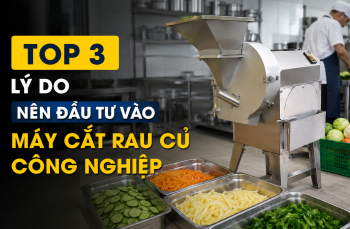 Top 3+ lý do nên đầu tư máy cắt rau củ công nghiệp