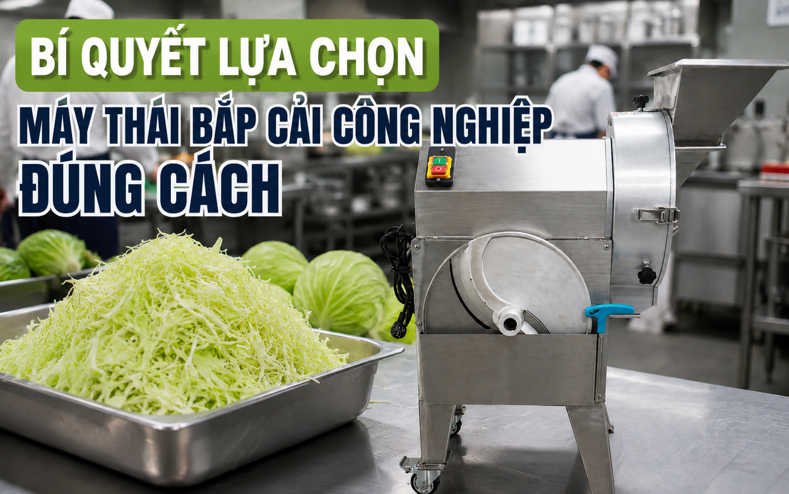 Bí quyết lựa chọn máy thái bắp cải công nghiệp đúng cách