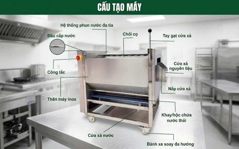Thông số máy chà rửa gọt vỏ củ quả CX-100