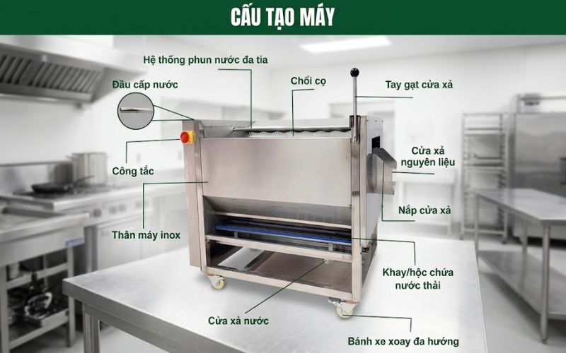 Thông số máy gọt vỏ củ quả Yanwoo CX-150