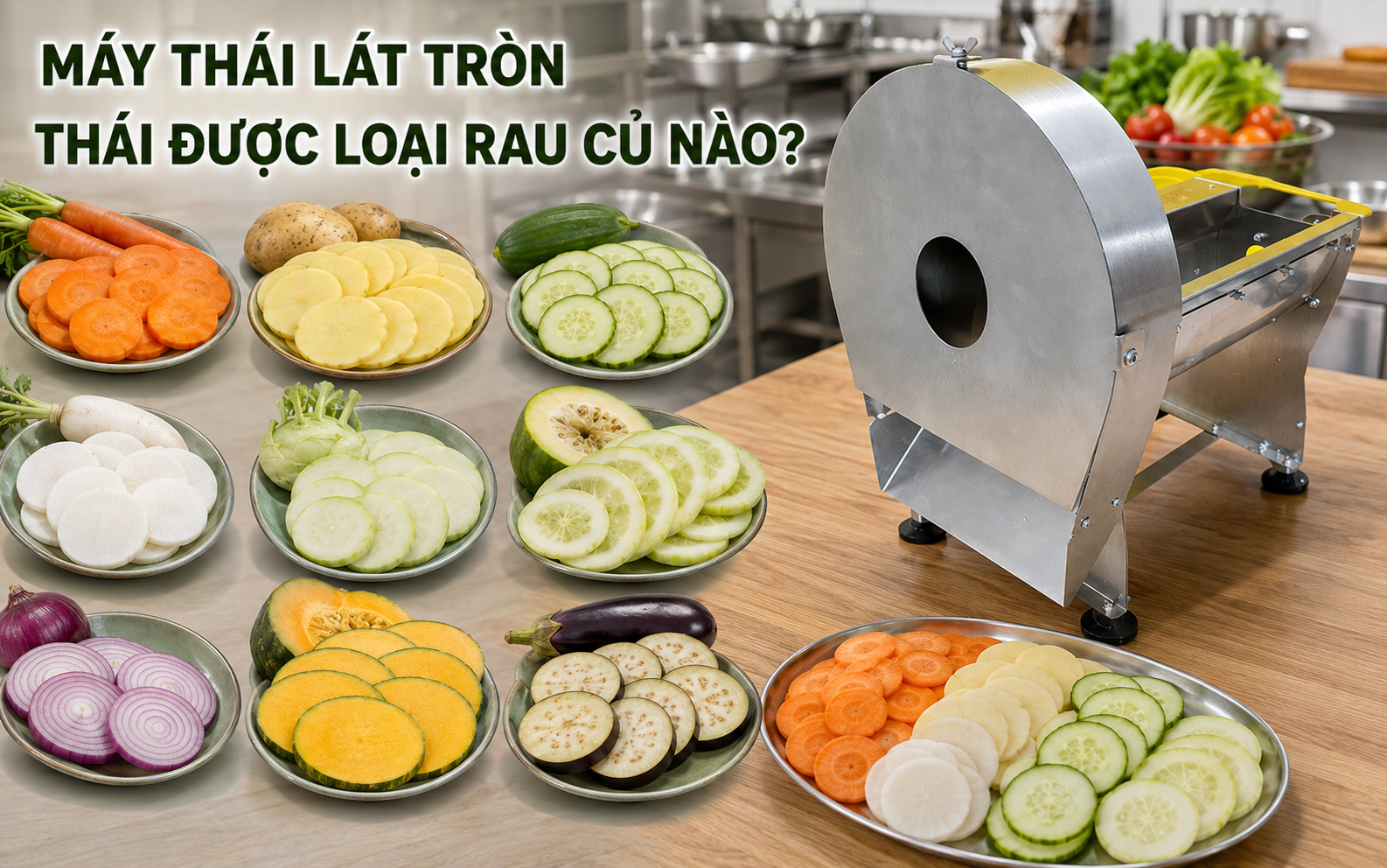 Máy thái lát tròn là gì?