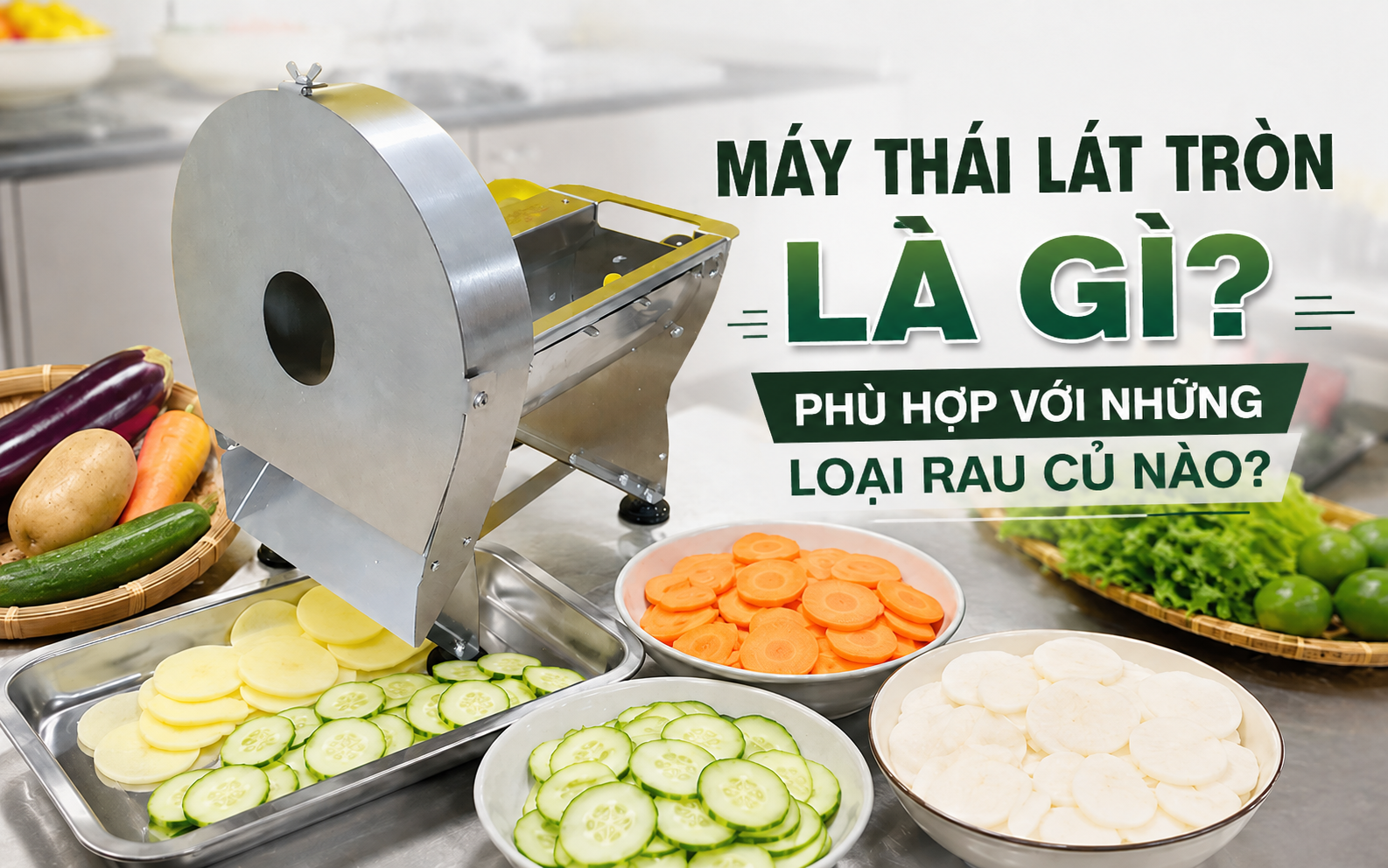 Máy thái lát tròn là gì? Phù hợp với những loại rau củ nào?