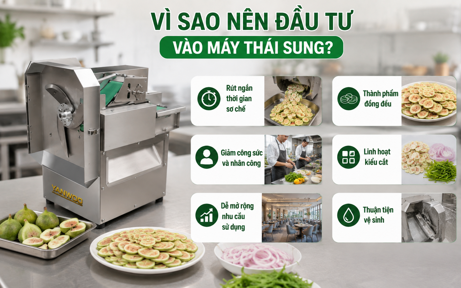 Vì sao nên đầu tư vào máy thái sung?
