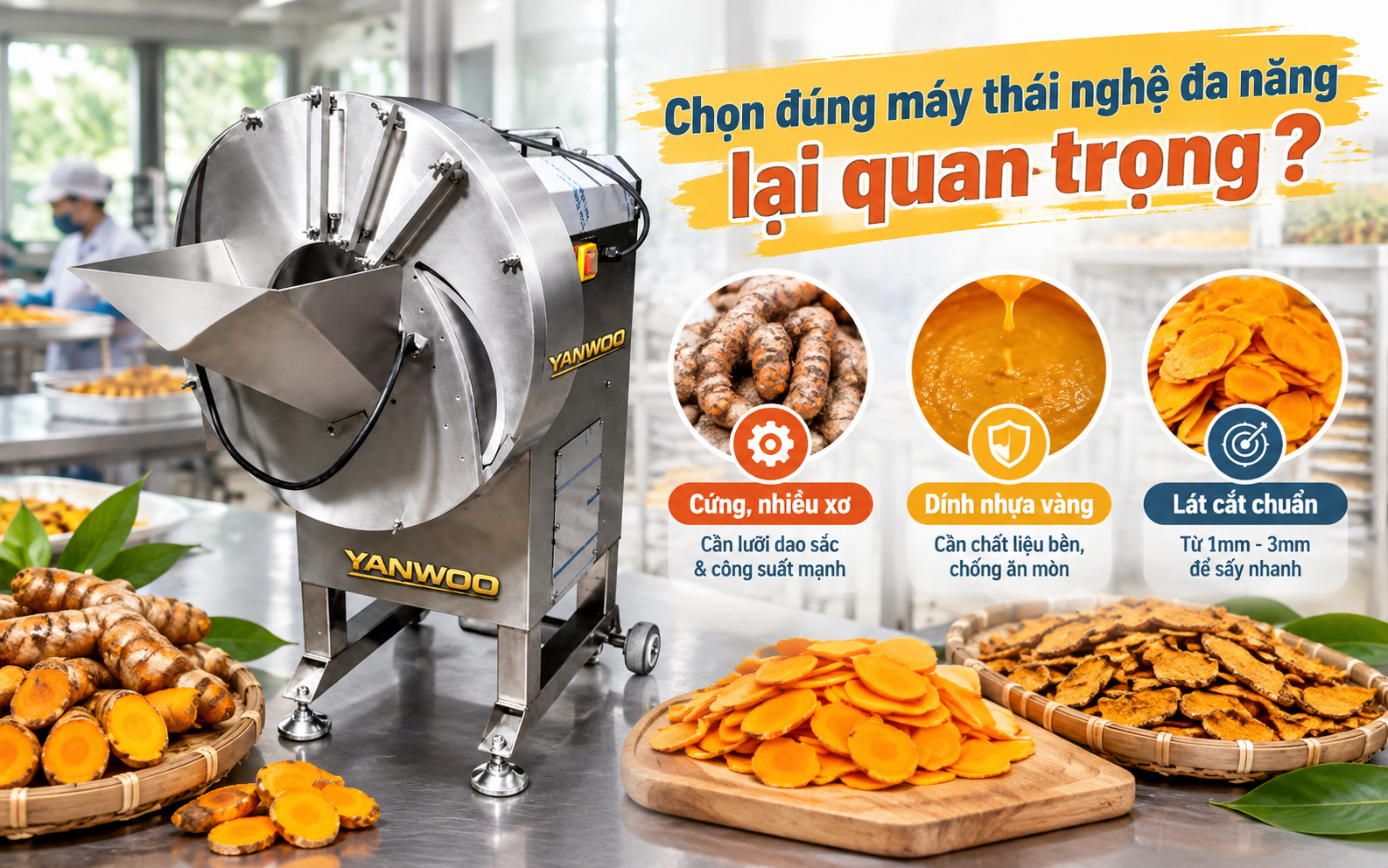 Chọn đúng máy thái nghệ đa năng lại quan trọng?