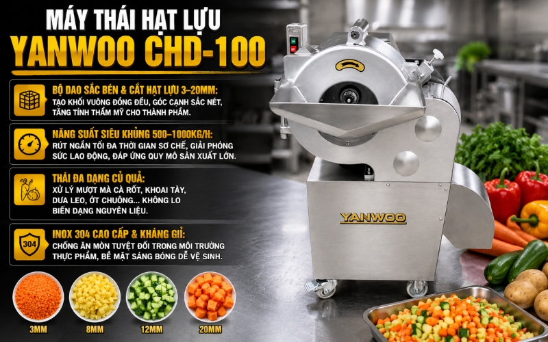Đặc điểm nổi bật của máy thái hạt lựu rau củ quả Yanwoo CHD-100