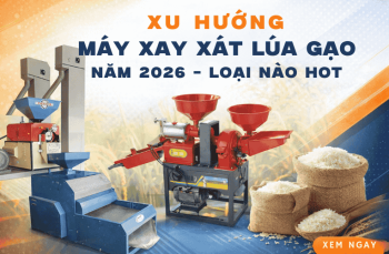 Xu Hướng Máy Xay Xát Lúa Gạo Năm 2026 - Loại Nào Hot