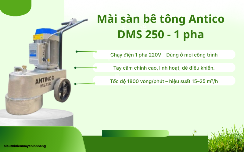 Mài sàn bê tông Antico DMS 250 - 1 pha