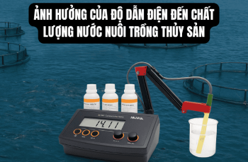 Ảnh Hưởng Của Độ Dẫn Điện Đến Chất Lượng Nước Nuôi Trồng Thủy Sản