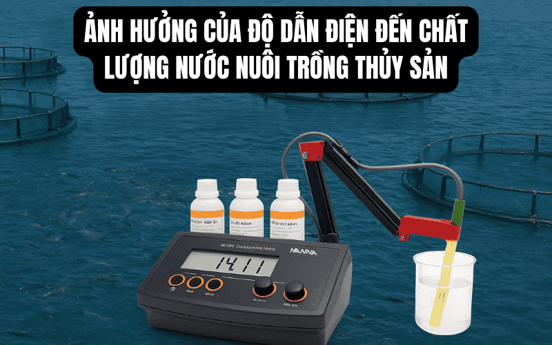 Ảnh Hưởng Của Độ Dẫn Điện Đến Chất Lượng Nước Nuôi Trồng Thủy Sản