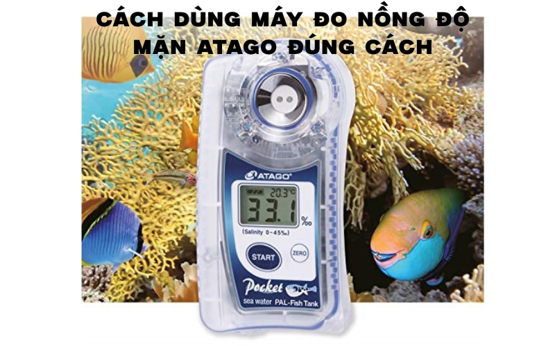 Cách dùng máy đo nồng độ mặn Atago đúng cách