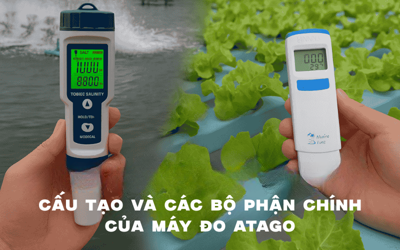 Cấu tạo và các bộ phận chính của máy đo Atago