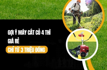Gợi Ý Máy Cắt Cỏ 4 Thì Giá Rẻ Chỉ Từ 3 Triệu Đồng