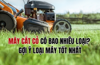 Máy cắt cỏ có bao nhiêu loại? Gợi ý loại máy tốt nhất