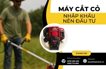 Top các dòng máy cắt cỏ nhập khẩu nên đầu tư