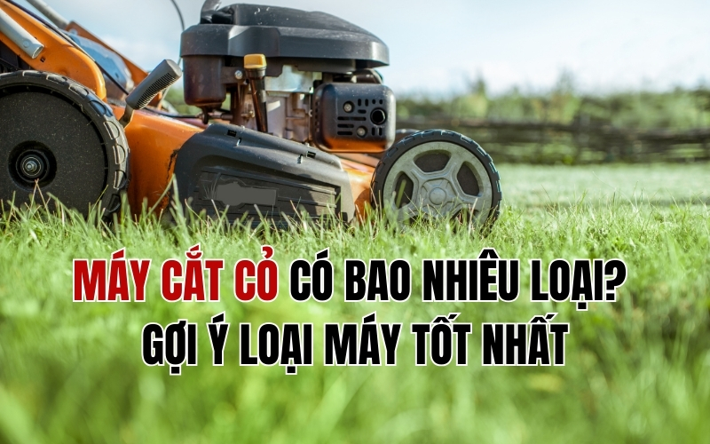 Máy cắt cỏ có bao nhiêu loại? Gợi ý loại máy tốt nhất