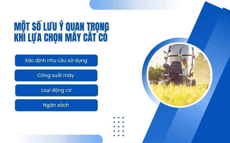Một số lưu ý quan trọng khi lựa chọn máy cắt cỏ