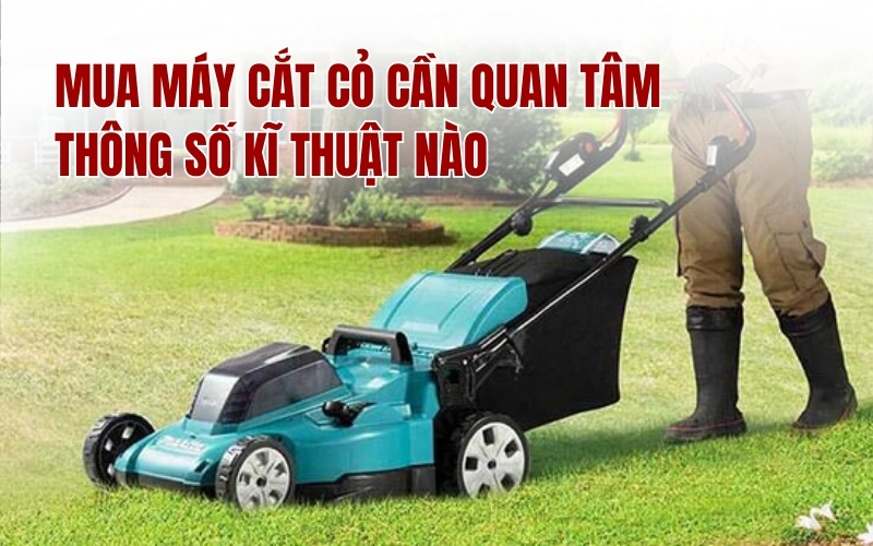 Mua máy cắt cỏ cần quan tâm thông số kĩ thuật nào