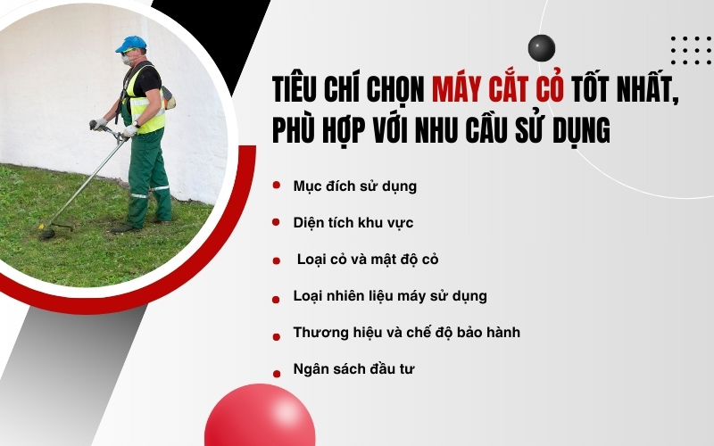 Tiêu chí chọn máy cắt cỏ tốt nhất, phù hợp với nhu cầu sử dụng