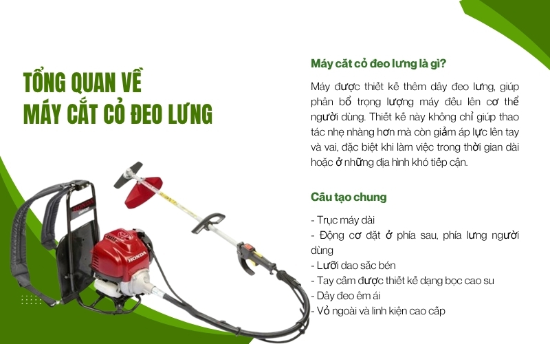 Tổng quan về máy cắt cỏ đeo lưng