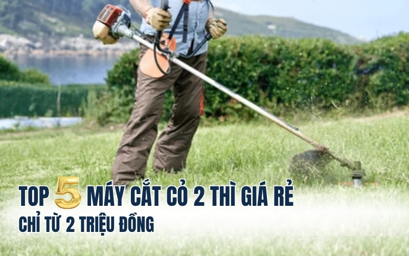 Top 5 máy cắt cỏ 2 thì giá rẻ chỉ từ 2 triệu đồng