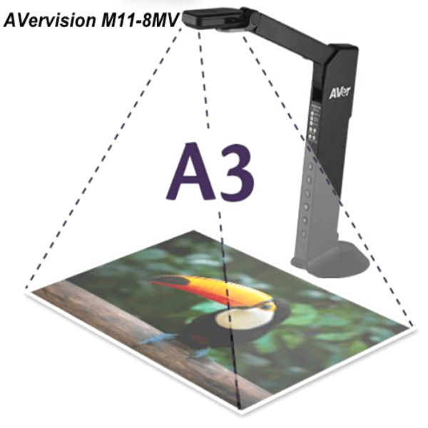 Máy chiếu vật thể M11-8MV cho khu vực chụp hình A3 tiện lợi linh hoạt