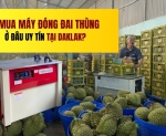 Hình ảnh Mua máy đóng đai thùng ở đâu uy tín tại Daklak?