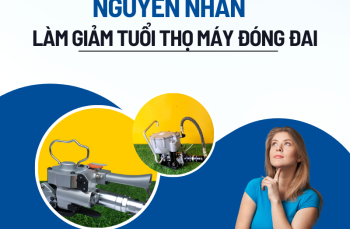 Nguyên nhân làm giảm tuổi thọ của máy đóng đai thùng