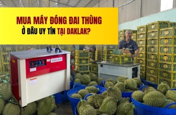 Mua máy đóng đai thùng ở đâu uy tín tại Daklak?