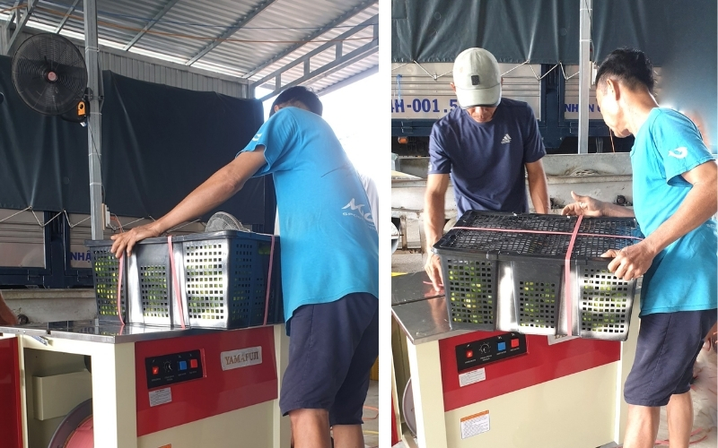 Hải Minh – Địa chỉ mua máy đóng đai thùng uy tín tại Đắk Lắk