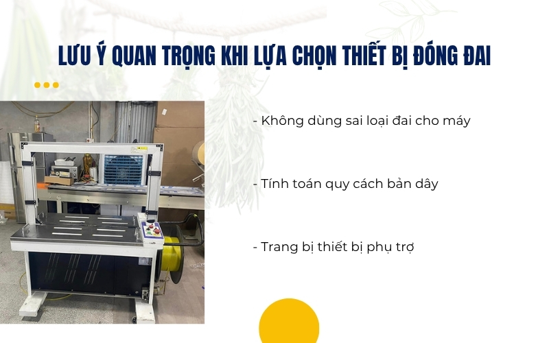 Lưu ý quan trọng khi lựa chọn thiết bị đóng đai