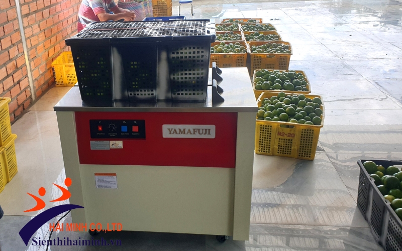 Máy đóng dây đai cho ngành nông sản xuất khẩu