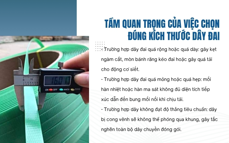 Tầm quan trọng của việc chọn đúng kích thước dây đai